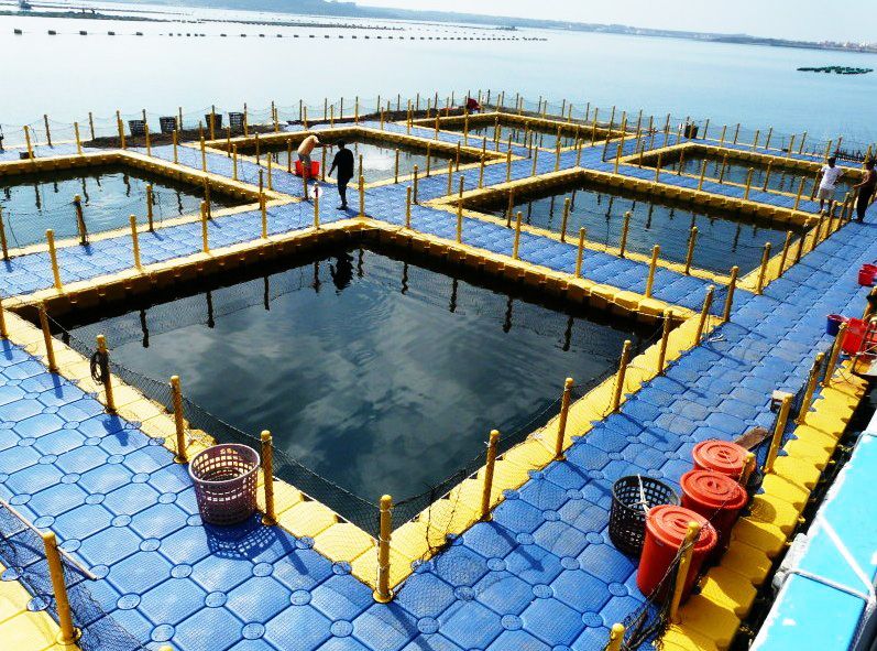 YÜZER PLATFORM